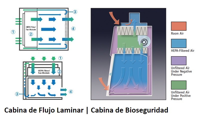 Humo mosquito internacional Cabina de Bioseguridad vs. Flujo Laminar - Zwei Ingeniería -